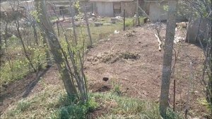 ЭЛЕКТРОГРЯДКА отзывы