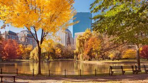 ОСЕННИЙ МАНХЭТТЕН  НЬЮ-ЙОРК