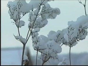 Слава Богу за все! Времена года. Зима, 2006