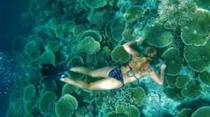 ФРИДАЙВИНГ КОРАЛЛОВЫЙ САД МААФУШИ МАЛЬДИВЫ
freediving Maldives Coral garden Maafushi