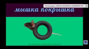 мышка сосиска и её друзья🐭