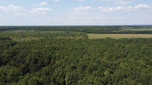 Утепленная Шведская Плита