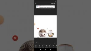 Хренобус готовит пельмени