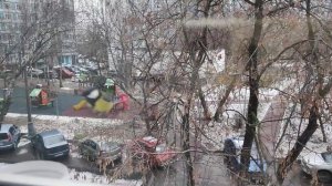 Синички