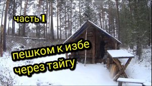 ПЕШКОМ К ИЗБЕ ЧЕРЕЗ ТАЙГУ_ПЕРВЫЙ СНЕГ_часть 1 #тайгахмао #изба #лес