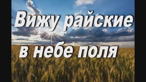 ВИЖУ РАЙСКИЕ В НЕБЕ ПОЛЯ. СЛ И МУЗ. ИЕРОДИАКОНА РАФАИЛА