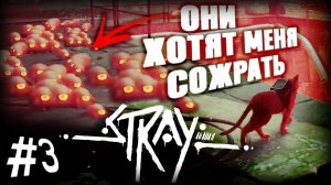 3) Меня чуть не сожрали ЗУРКИ!!! 🙀 Stray