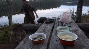 Рыбалка на Самоловки! Как В Тайге! Уха на Костре!