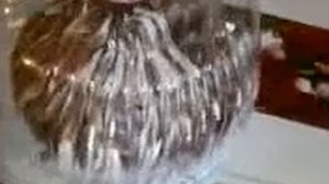 LQ, Rus - Торт Панчо кофейный и немного обо мне