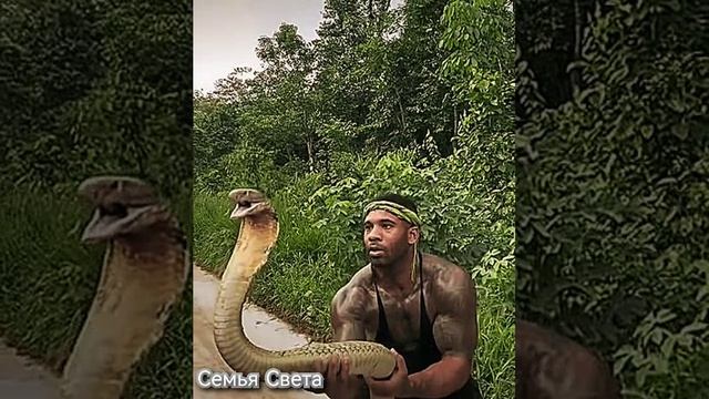 ПОЦЕЛУЙ ЗМЕИ 2025 смотреть онлайн