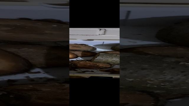20250107_221556.mp4
