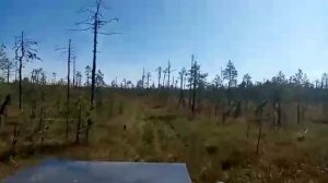 Цельнорамный вездеход Яг-Морт