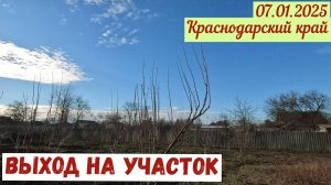 Краснодарский край(07.01.2025). Выход на участок.