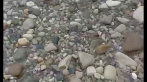 мой влог: посещаю все мероприятия в развлекательной программе санатория "Автотранспортника"💫#залети