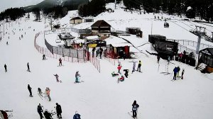 Веб камеры Архыз