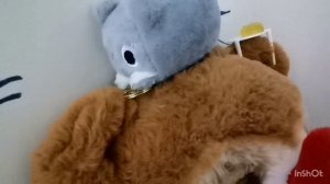 симба мультик🐆