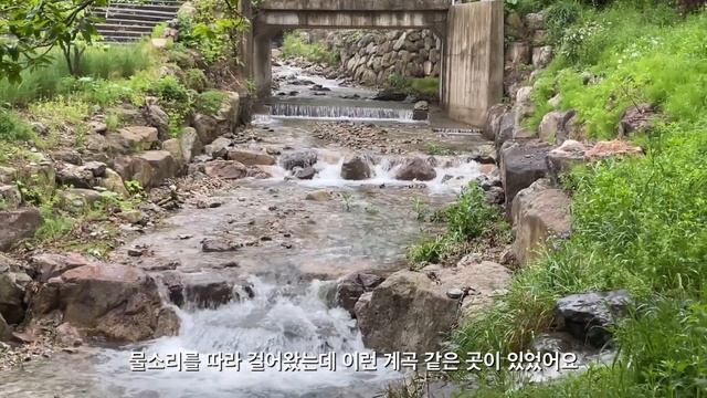 sub)vlog🧈자취생 브이로그ㅣ또 나만 몰랐던 KFC 치킨...ㅣ비빔밥 환장녀ㅣ텐동,키토김밥,쭈꾸미 삼겹살,쪽갈비 먹방ㅣ비오는 날엔 부추전에 막걸리지ㅣ계곡 드라이브ㅣ제주 카페