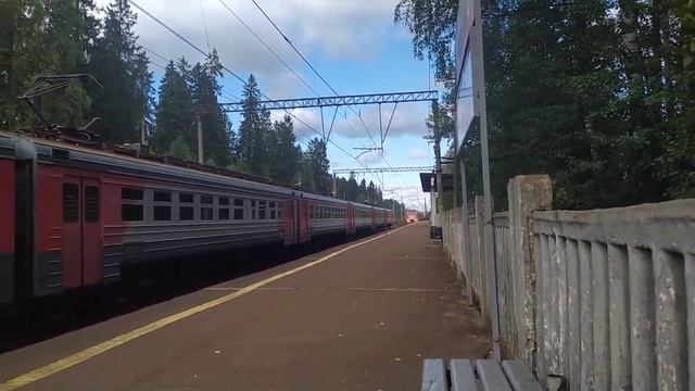 электропоезда ЭД4МК-118, и ЭС2Г Ласточка летит на О. п Прибытково Октябрьской железной дороги.