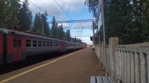 электропоезда ЭД4МК-118, и ЭС2Г Ласточка летит на О. п Прибытково Октябрьской железной дороги.