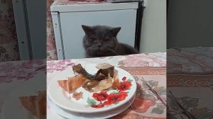 Кот ворует рыбу