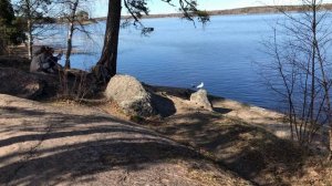 Выборг виды парка Монрепо снято 02.05.2024г