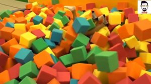 Дневник Хача лучшее, Сочи