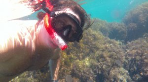 Под водой в Анапе.Черное море