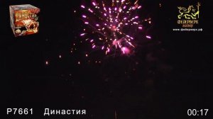 Р7661   Династия