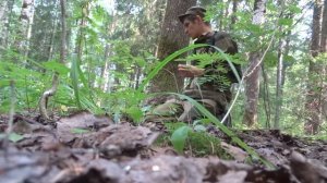 Сбор грибов 2022.Разведка грибных мест.Тихая охота.