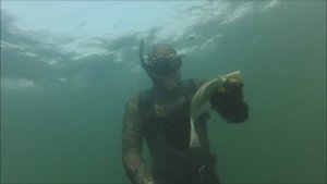 Подводная охота на камбалу. Разведка по рыбе.