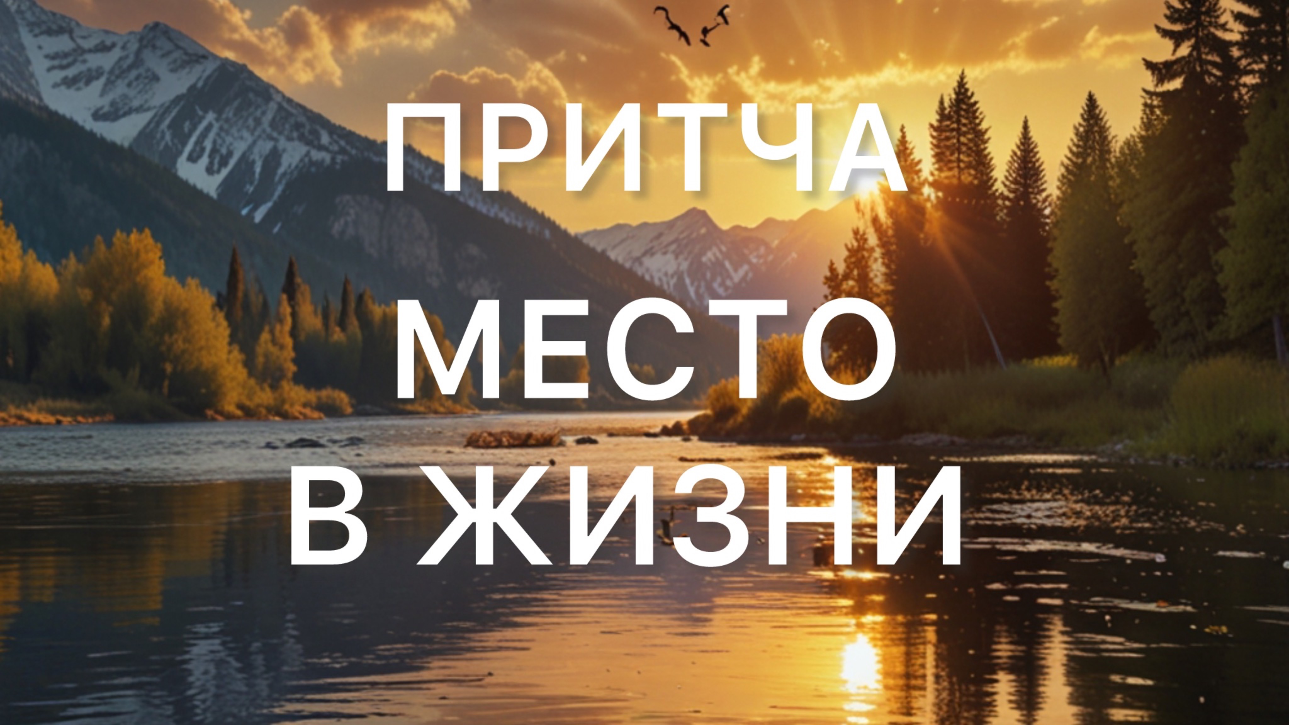 Притча Место В Жизни