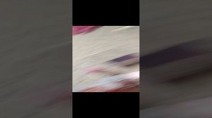 что мне подарили на новый год и рождество