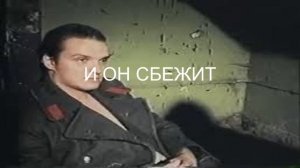 Трейлер новой ПашиБанги в Shindows SG OPIT