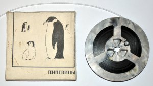 Пингвины (оцифровка 8-мм. киноплёнки СССР)
