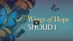 Серия Крылья Надежды - Шауд 01_05.10.2024