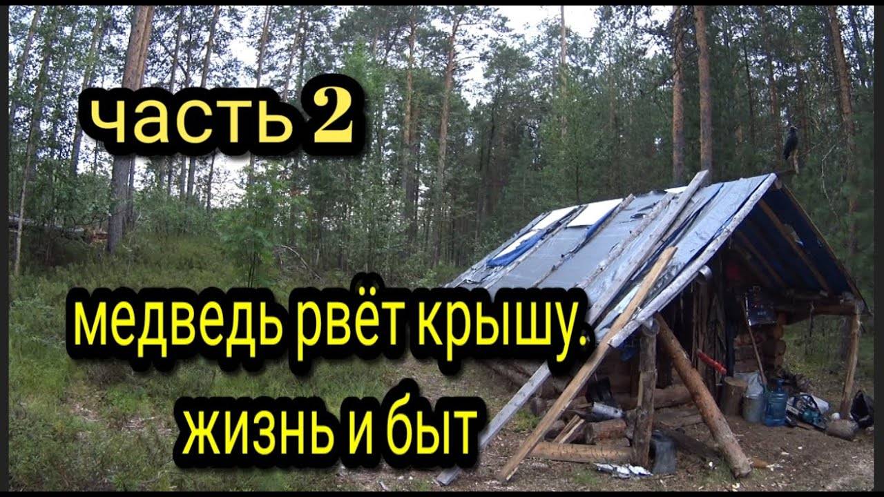 МЕДВЕДЬ ПОРВАЛ КРЫШУ_ В ИЗБУ НА ДВЕ НОЧИ_ часть 2 #тайгахмао #жизньвтайге #изба