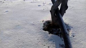 Древняя Русь