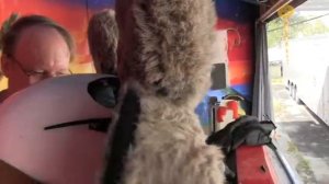 Bear-A-Dise 18 * Restoration ** Rock-afire Explosion