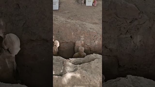 МОЯ РЕИНКАРНАЦИОННАЯ ПАМЯТЬ.