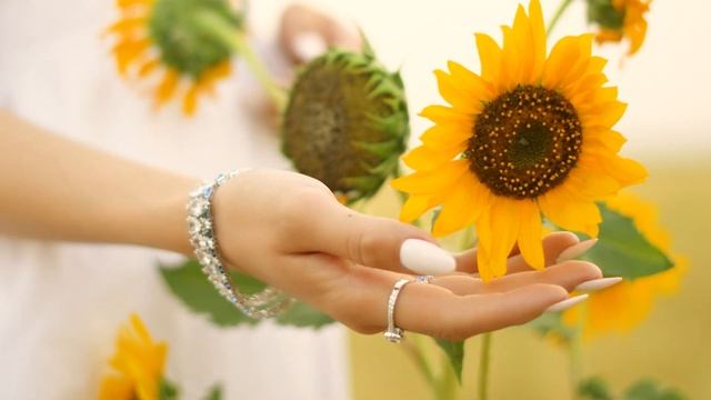 b_d.films prod. Swarovski рекламный ролик для ТВ в 4к новая коллекция смотреть онлайн