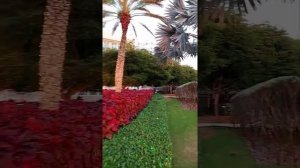 Отель Wyndham Concorde Isla Margarita