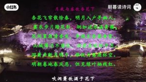 Китайское стихотворение 月夜与客饮杏花下