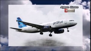 В отсеке шасси нашли два тела приземлившегося  самолета JetBlue