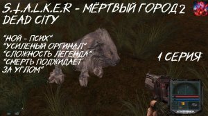 S.T.A.L.K.E.R - Мёртвый город 2 Dead City 1 серия "Смерть поджидает на каждом шагу"