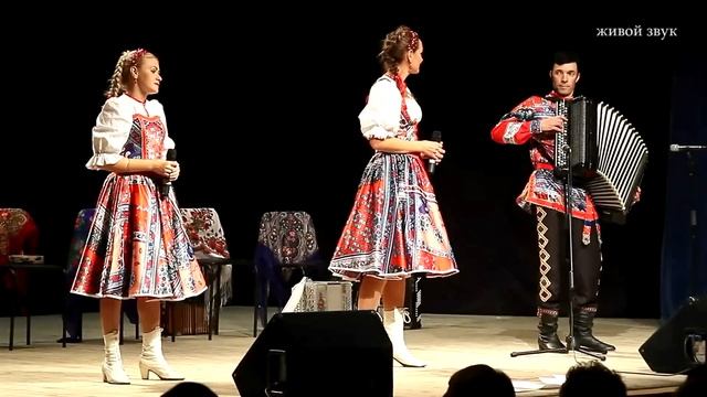 Душевную песню спели всем залом...Ансамбль Калина! Russian folk song... смотреть онлайн