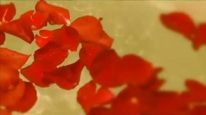 JELENA ROZGA - KARANTENA (OFFICIAL VIDEO 2011)