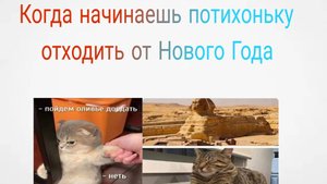Когда новогодние выходные подходят к концу
