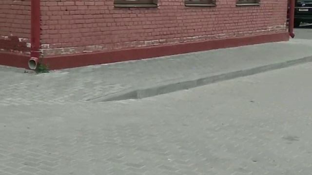 Обошла госструктуры/ Пешие походы/ Тропинки .../ Классы под магазины/ Покупки, цены, курс рубля