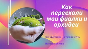 Как я довезла цветы? 36 часов в пути из жары в холод.