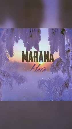 MARANA_"НЕГА"_Shorts_С Рождеством!..